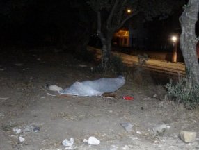 Bursa'da 15 yaşındaki genç zeytinlikte ölü bulundu