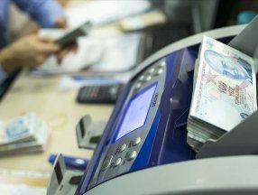 Yangınlardan zarar gören üreticilere 9.5 milyon lira hasar ödemesi