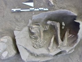 Eskişehir'de 5 bin yıllık çocuk iskeletleri bulundu