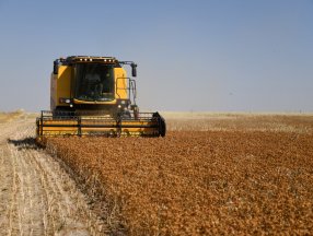 Kayseri’de hibe destekli ‘Aspir’ hasadı başladı
