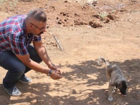 Elazığ’da, felçli yavru köpeği yeniden ayağa kaldırdı