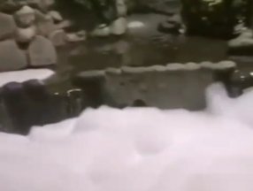 Hatay'da süs havuzuna deterjan döktüler