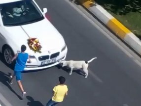 Esenyurt'ta bir grup çocuk, trafikteki gelin arabasının önüne atladı