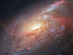 Evrenin başka yerlerinde virüsler olabilir