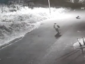 Sarıyer'de köpeklerin kovaladığı çocuğun kolu kırıldı
