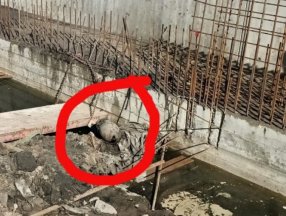 Polonya'da 2. Dünya Savaşı'ndan kalma bomba bulundu