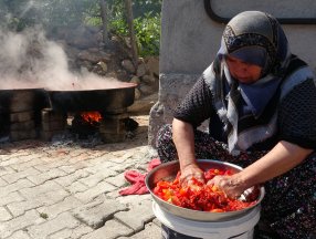 Tokat'ta kadınların ev salçası mesaisi