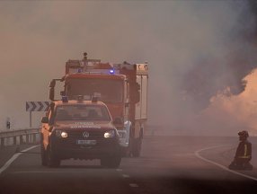 İspanya'da yangınlar yedinci gününde kontrol altında