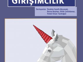 Türkiye’de Yenilik Tabanlı Girişimcilik kitabı