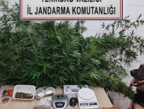 Tekirdağ'da uyuşturucu, kuş yemi kutusuna gizlendi