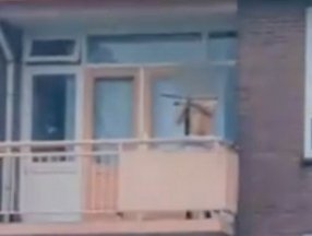 Hollanda’da oklu saldırgan dehşet saçtı