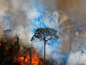 Yangınlar nedeniyle karbondioksit emisyonlarında artış
