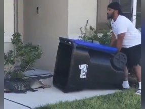 ABD'de evinin bahçesine giren timsahı çöp bidonuyla yakaladı