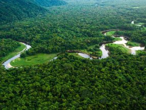 Facebook'tan, Amazon Ormanları'nda arazi satışını yasaklama kararı