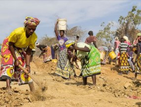 Kenya’da kuraklık sebebiyle birçok hayvan telef oldu
