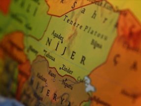 Nijer Cumhuriyeti'nde teröristler cemaate saldırdı