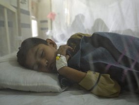 Pakistan'da dang humması vakaları arttı