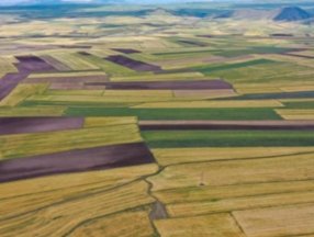 Sanal alemde de fiyatlar uçuyor: Metaverse sanal arsa nasıl alınır?