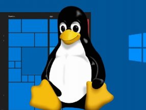Linux'u hedefleyen zararlı yazılımların sayısı artıyor