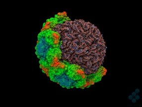 Süper bilgisayarlar, 100 bin yeni virüs keşfetti