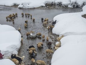 Etkili kar yağışı, Ovacık halkını sevindirdi