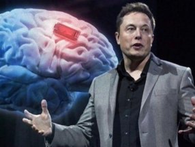 Neuralink, teste giren maymunları öldürdüğünü itiraf etti