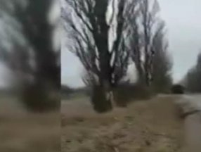 Ukraynalılar, Rus zırhlı askeri aracı tuzağa çekip imha etti