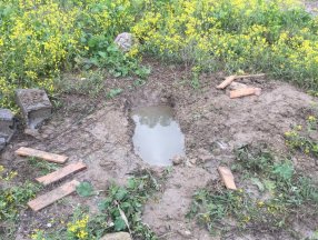 Adana’da, mezarlıkta cenin bulundu