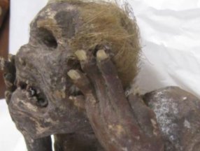 Japonya'da deniz kızı mumyası keşfedildi