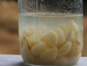 Mucize damar açıcı! 20 diş sarımsağı 1 litre limon suyuna atıp bekleyin...