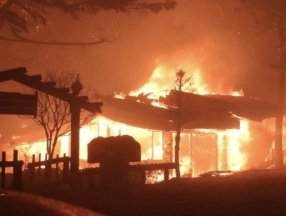 Güney Kore'de orman yangını: 216 bina kül oldu