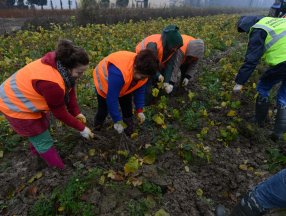 OGM’den kadın üreticilere 8,5 milyon lira destek