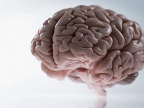 Beyin tümörleri nedir