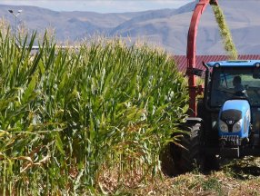 Tarımsal destekleme ödemeleri hesaplara yatmaya başladı