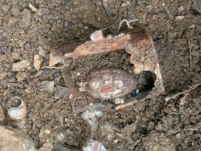 Sakarya'da bahçe temizliği sırasında el bombası bulundu