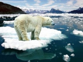 Arktik deniz buzu son 44 yılın en düşük seviyesinde