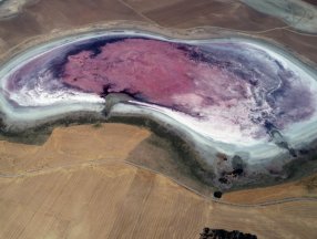 Konya'daki pembe göl, bu yıl kahverenginde kaldı