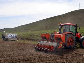 Muş'ta 60 bin dekar alanda şeker pancarı üretilecek