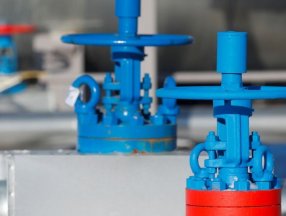 Hollanda: Rus gazından tamamen kurtulacağız