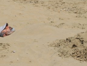 Mersin’de sıcağı gören denize koştu