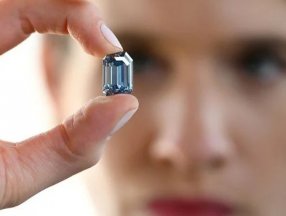 Dünyanın en büyük mavi elması satıldı