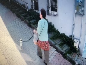 Kağıthane’de pitbull saldırısı kamerada