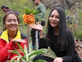 Hakkari'deki ters laleleri görmek için Tayland'dan geldiler