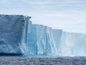 Antarktika'da gizli yaşam alanı keşfedildi