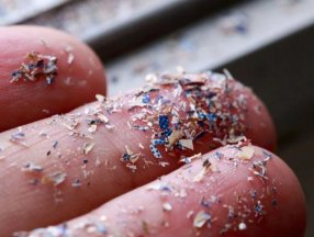 Antarktika'ya ilk kez mikroplastik yağdı