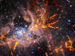 James Webb, Tarantula Bulutsusu'nu görüntüledi