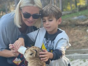 Ece Erken'in 3 aylık yavru aslanı elleriyle beslediği anlar