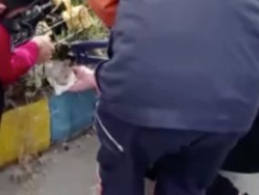 Beylikdüzü'nde başı demire sıkışan kediyi itfaiye kurtardı