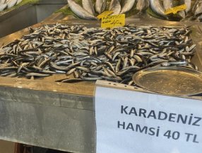 Balık tezgahlarında hamsi 80 liradan 40’a düştü
