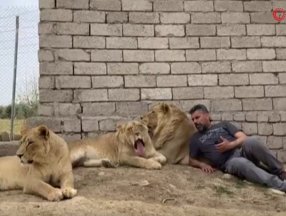 Diyarbakırlı Ahmet 3 aslanla birlikte yaşıyor